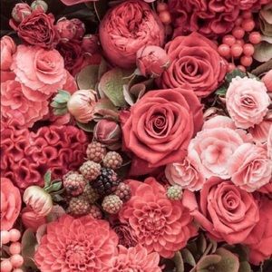 Meet your Posher, Skylar